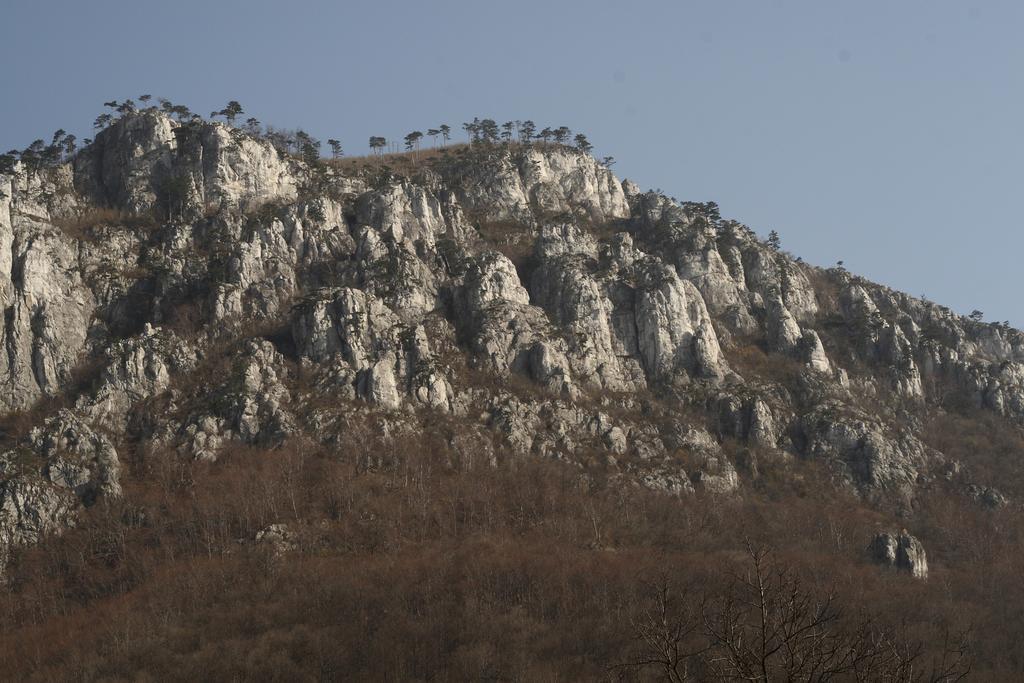 فندق Pensiunea Floare De Colt Băile Herculane المظهر الخارجي الصورة